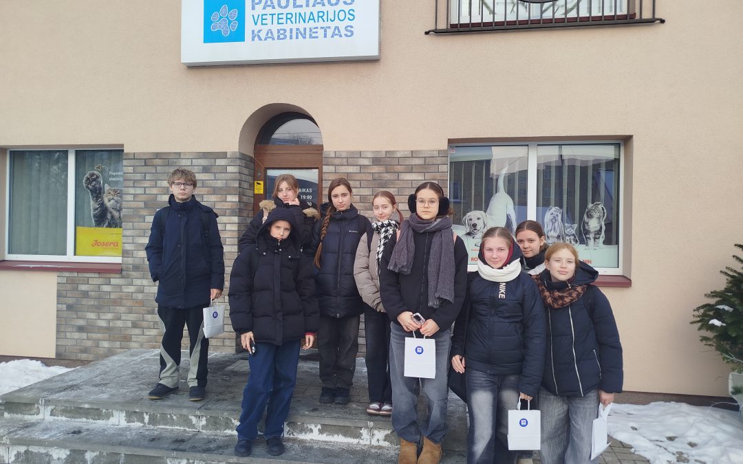 Profesinis veiklinimas Pauliaus veterinarijos kabinete