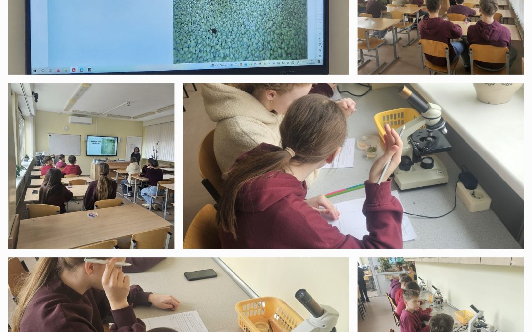 7b klasės mokiniai STEAM dirbtuvėse