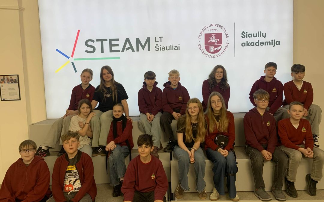 Pamoka STEAM centre: „Garso ir vaizdo mikrovaldiklių programavimas“