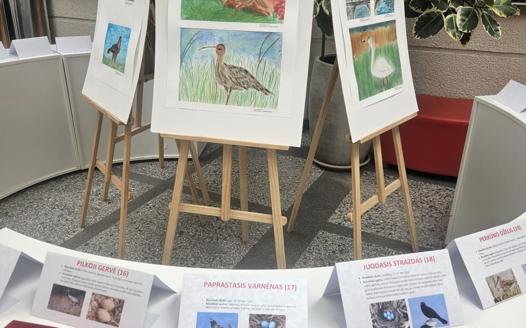 Tvarus pavasaris: mokiniai sukūrė paukščių kiaušinių ekspoziciją